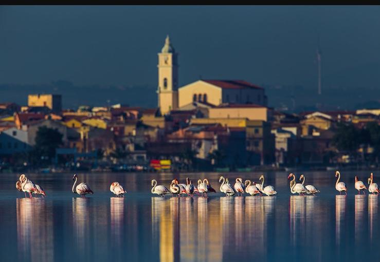 Casale Villa Giulia Marina Di Lesina Exterior foto